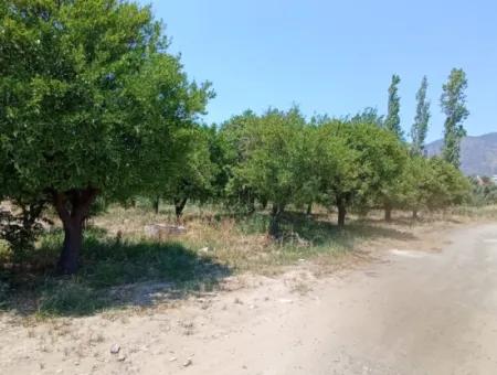 Koycegiz Gelisim Mahallesi Grundstück Zum Verkauf