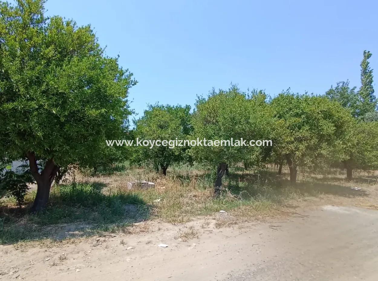 Koycegiz Gelisim Mahallesi Land For Sale