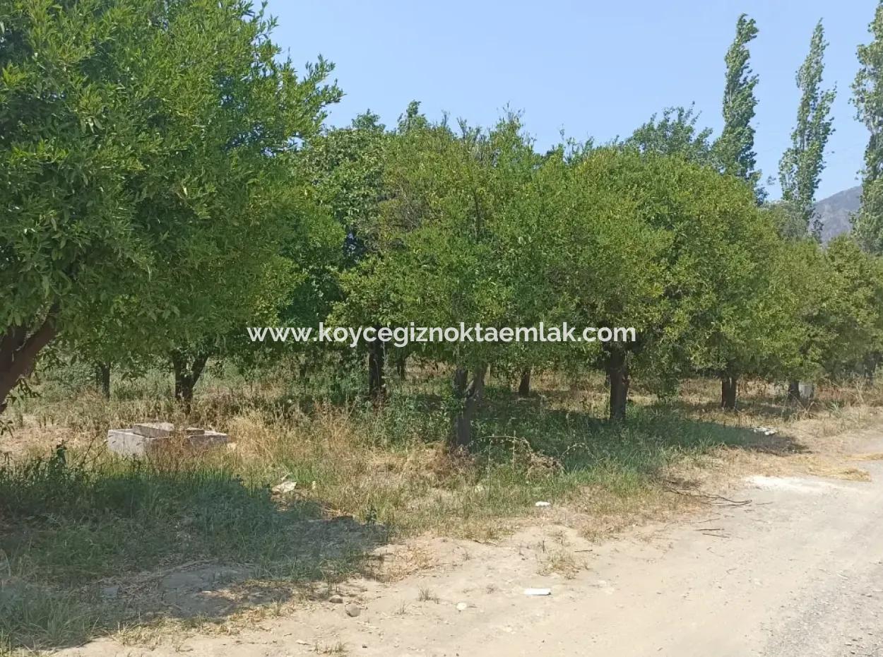 Koycegiz Gelisim Mahallesi Land For Sale