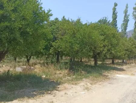 Koycegiz Gelisim Mahallesi Land For Sale