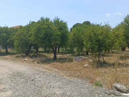 Koycegiz Gelisim Mahallesi Land For Sale